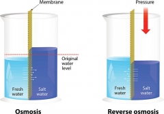 Domestic RO Membrane Reverse Osmosis Membrane 1812 2012 Size 75g 100g 200g 400g 600g Domestic RO Membrane For Household RO System